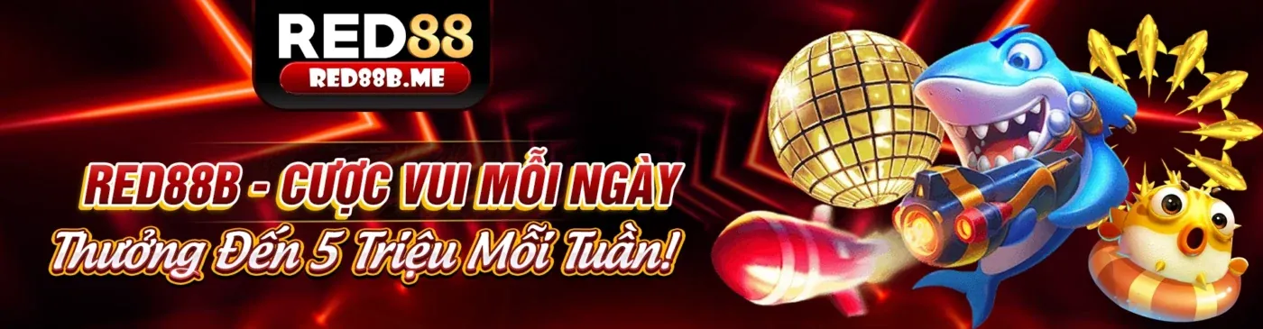 Hình ảnh chính trang Câu hỏi thường gặp bsport